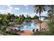 Resort-style community pool with lounge chairs and tropical landscaping, promising relaxation and recreation at 12553 Lily Quartz Loop, Parrish, FL 34219
