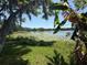 Scenic lake view surrounded by lush greenery, lily pads, and mature trees at 14620 Geneva Dr, Odessa, FL 33556