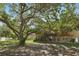 Exterior view of the building with lush backyard featuring mature trees and private patios at 3005 Bayshore Pointe Dr, Tampa, FL 33611
