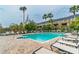 Community pool surrounded by lounge chairs and mature palm trees at 3005 Bayshore Pointe Dr, Tampa, FL 33611