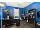 This bright office features striking blue walls, dark wood flooring, and dark wood shelving at 7494 Pool Compass Loop, Wesley Chapel, FL 33545