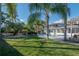 Expansive backyard with an in-ground pool, covered patio, lush lawn, mature palms, and ample space for outdoor activities at 7922 Spring Valley Dr, Tampa, FL 33615