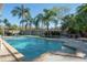 Beautiful in-ground pool featuring palm trees, outdoor seating, and a well-kept yard, perfect for relaxation and entertainment at 7922 Spring Valley Dr, Tampa, FL 33615