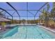 Screened-in pool with spa overlooking beautiful landscaping and serene lake at 10072 Sage Creek Dr, Ruskin, FL 33573