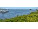 Beautiful waterfront view featuring a dock, water and lush vegetation, offering tranquil scenery at 1720 Mariner Way, Tarpon Springs, FL 34689