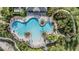 Aerial view of a resort style pool with palm trees, lounge chairs, and walking paths at 17927 Bahama Isle Cir, Tampa, FL 33647