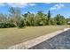 Large private backyard featuring mature trees and ample greenspace at 1929 New Bedford Dr, Sun City Center, FL 33573