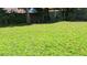 Spacious backyard with lush green ground cover, perfect for outdoor activities and enjoying nature at 2217 Brevard Ne Rd, St Petersburg, FL 33704