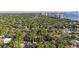 Aerial view of a home with a beautiful neighborhood surrounded by trees at 2931 W Coachman Ave, Tampa, FL 33611