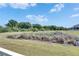 A serene backyard landscape featuring a natural pond area and lush greenery at 5236 Wishing Arch Dr, Apollo Beach, FL 33572