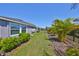 Spacious backyard featuring lush greenery, patio area, and well-maintained landscaping at 5523 Del Coronado Dr, Apollo Beach, FL 33572