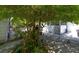 Lush backyard offering shade and a peaceful outdoor space at 6712 W Clifton St, Tampa, FL 33634