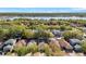 Aerial view of homes, mature trees and a lake in the background at 8528 Quarter Horse Dr, Riverview, FL 33578