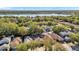 Aerial view of homes, mature trees and a lake in the background at 8528 Quarter Horse Dr, Riverview, FL 33578