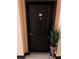 This is a lovely condo front door with black paint and silver accents at 100 4Th S Ave # 220, St Petersburg, FL 33701