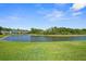 Scenic view of a calm pond surrounded by lush greenery and beautiful homes at 11503 Quiet Forest Dr, Tampa, FL 33635