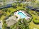 Aerial view of the sparkling community pool with lounge chairs and palm trees at 2759 Conch Hollow Dr, Brandon, FL 33511