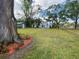 Expansive backyard with large trees, landscaping, storage shed, and fenced yard at 3204 W Clinton St, Tampa, FL 33614