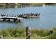 Waterfront with many birds gathered on the dock, and natural shoreline at 3204 W Clinton St, Tampa, FL 33614