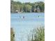 People kayaking on the water, serene lake view at 3204 W Clinton St, Tampa, FL 33614