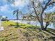 Lush backyard with mature trees and a private dock, offering direct access to the water for boating and fishing at 3814 Sunray Dr, Holiday, FL 34691