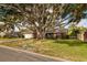 Charming single-story brick home with a lush front lawn and an expansive, mature tree, providing shade at 3960 13Th Ne Way, St Petersburg, FL 33703
