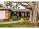 Inviting brick home featuring a well-manicured lawn, lush landscaping, and a charming front walkway with a large tree at 3960 13Th Ne Way, St Petersburg, FL 33703