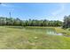 Scenic view of a pond surrounded by lush greenery and trees under a clear blue sky at 8352 Greenway Ave, Wesley Chapel, FL 33544