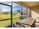 Screened patio with a dark wood table and chairs with grass and building views at 1010 Mango Ct, Oldsmar, FL 34677