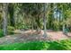 Scenic picnic area nestled among trees with a grill and tables, perfect for outdoor dining and relaxation at 11719 Foxworth Ln, New Port Richey, FL 34654