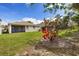Backyard lawn with a screened-in patio, and a tropical plant in bloom at 12934 Tikal Way, Trinity, FL 34655