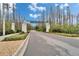 Community entrance featuring well-maintained landscaping, an inviting entry, and mature trees along the roadway at 19611 Cypress Bridge Dr, Odessa, FL 33556