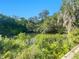 Scenic view of a tranquil pond surrounded by lush trees and vegetation at 2011 Arbor Dr, Clearwater, FL 33760