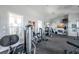 Community gym featuring modern exercise equipment and natural light at 2934 Living Coral Dr, Odessa, FL 33556