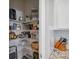 Walk-in pantry with white shelving and storage space at 2934 Living Coral Dr, Odessa, FL 33556