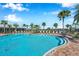 A community pool with clear blue water, lounge chairs, and palm trees at 2934 Living Coral Dr, Odessa, FL 33556