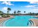 A beautiful community pool surrounded by palm trees and plenty of lounge chairs at 2934 Living Coral Dr, Odessa, FL 33556