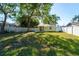 Large backyard with mature trees and full perimeter fence at 3451 Pine St, Dunedin, FL 34698