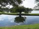 Scenic pond with mature tree in the center, offering a peaceful place to relax and enjoy nature at 6495 Shoreline Dr # 8105, Seminole, FL 33708