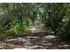Picturesque walking path winding through lush greenery, perfect for a leisurely stroll at 6495 Shoreline Dr # 8105, Seminole, FL 33708
