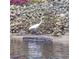 A white heron and alligator resting along the water's edge at 7094 Kenwood Dr, North Port, FL 34287