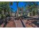 Backyard with a brick path, lounge chairs, and multiple seating areas surrounded by mature landscaping at 805 Bruce Ave, Clearwater Beach, FL 33767