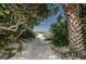Sandy beach path surrounded by tropical foliage leads to a beautiful beach and ocean view at 805 Bruce Ave, Clearwater Beach, FL 33767