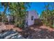 Tropical backyard with mature trees, lush landscaping and a convenient side yard access gate at 805 Bruce Ave, Clearwater Beach, FL 33767