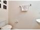 Simple powder room featuring a toilet, small sink, and decorative wall art at 14153 Arbor Pines Dr, Riverview, FL 33579