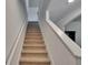 Carpeted stairway with white railing, leading to the upper level at 14153 Arbor Pines Dr, Riverview, FL 33579