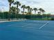 Bright tennis court with palm trees and green fencing at 30103 Mossbank Dr, Wesley Chapel, FL 33543
