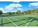 Well-maintained community tennis courts with lush landscaping and clear skies in the background at 115 112Th Ne Ave # 310, St Petersburg, FL 33716