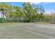 Wide angle of tennis court with trees and fence providing a green and private location for friendly matches at 17108 Carrington Park Dr # 711, Tampa, FL 33647