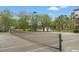 Well-maintained tennis court with lush landscaping, offering an active lifestyle within the community at 17108 Carrington Park Dr # 711, Tampa, FL 33647